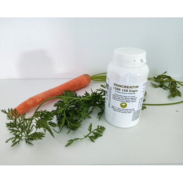 Pancreatin 1200 MG 250 Tablets